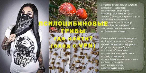 спиды Алексин