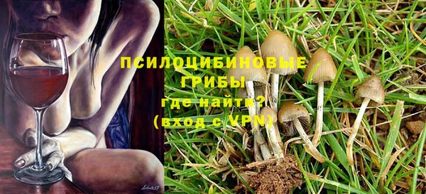 гидра Алзамай