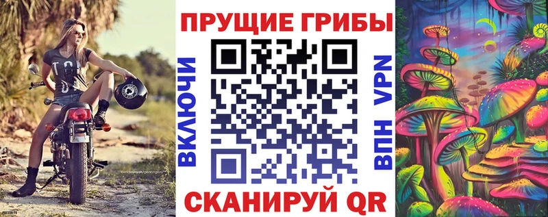 Псилоцибиновые грибы прущие грибы купить сайты Десногорск