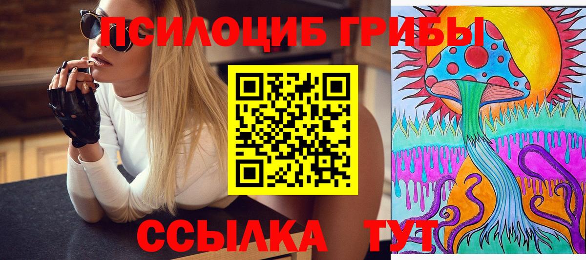 Псилоцибиновые грибы мицелий  Галлюциногенные грибы Psilocybe  Вход с VPN  закладка  Десногорск 