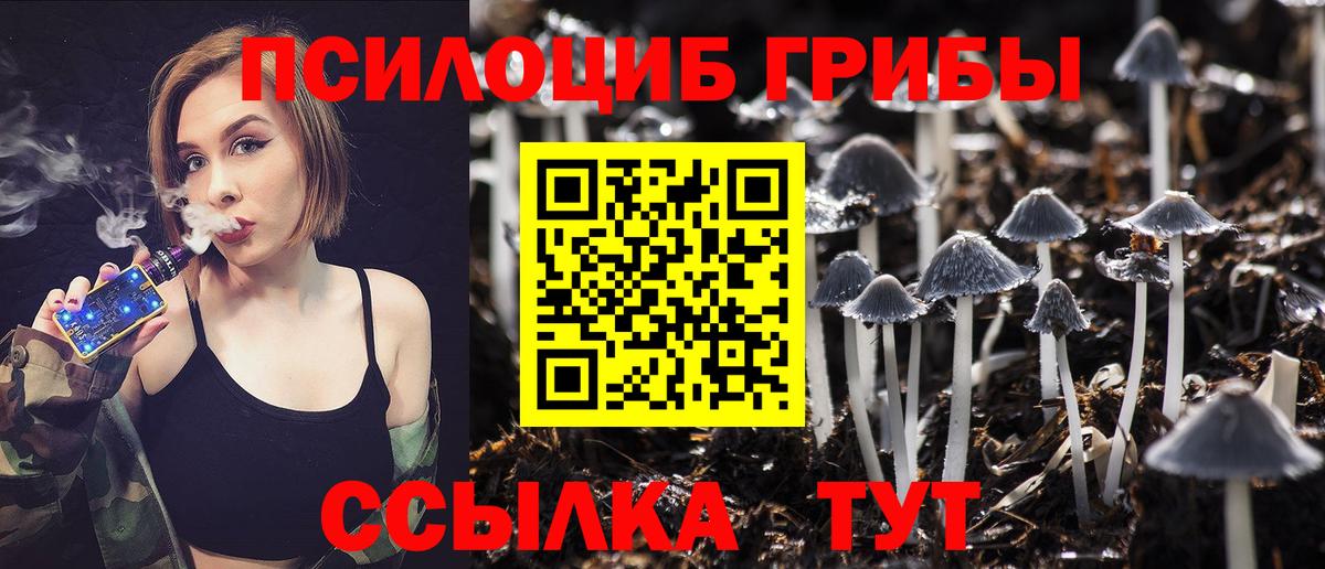 Галлюциногенные грибы Десногорск